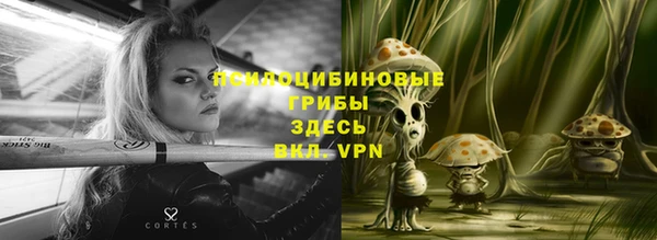 прущая мука Алзамай