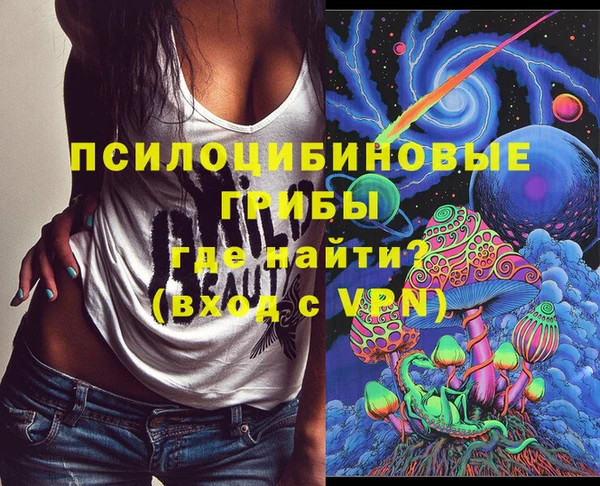 спайс Алексин