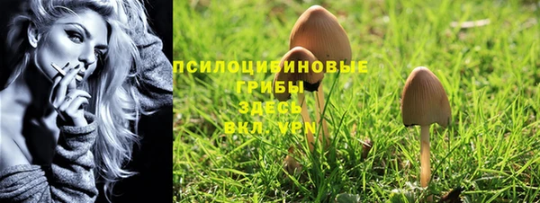 прущая мука Алзамай