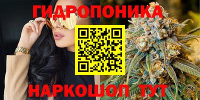 дживик Кунгур