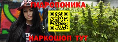 гашик Краснокаменск