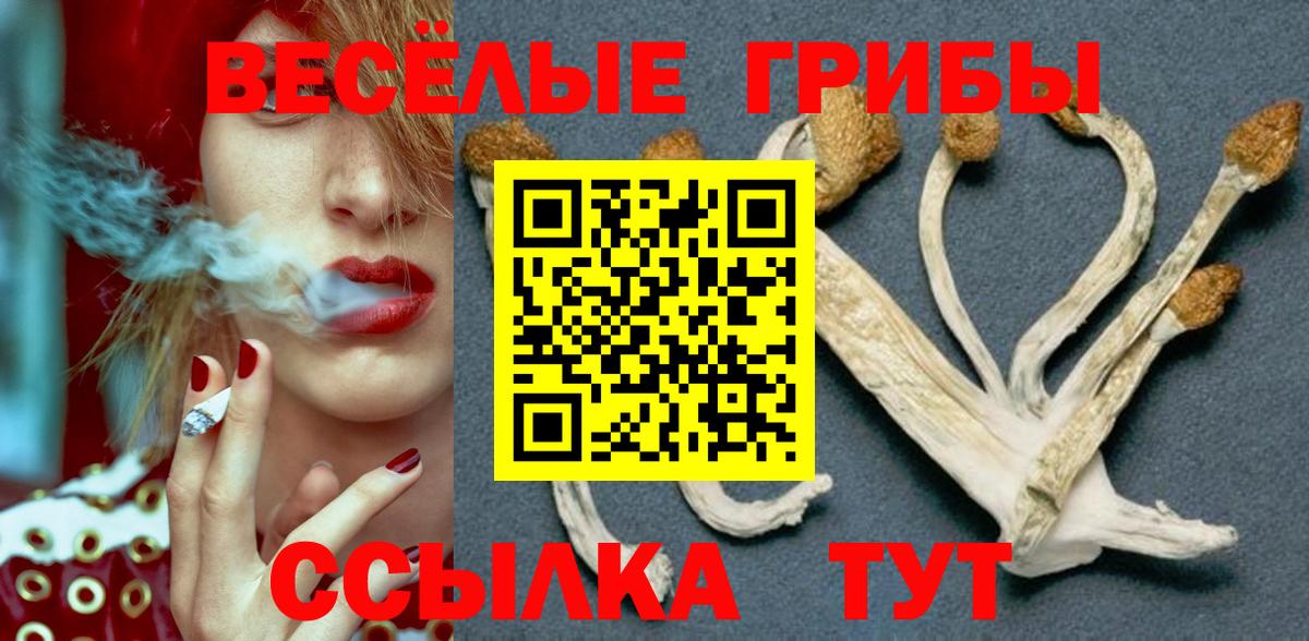 Галлюциногенные грибы GOLDEN TEACHER Новозыбков